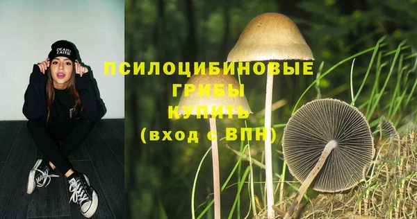 а пвп мука Иннополис